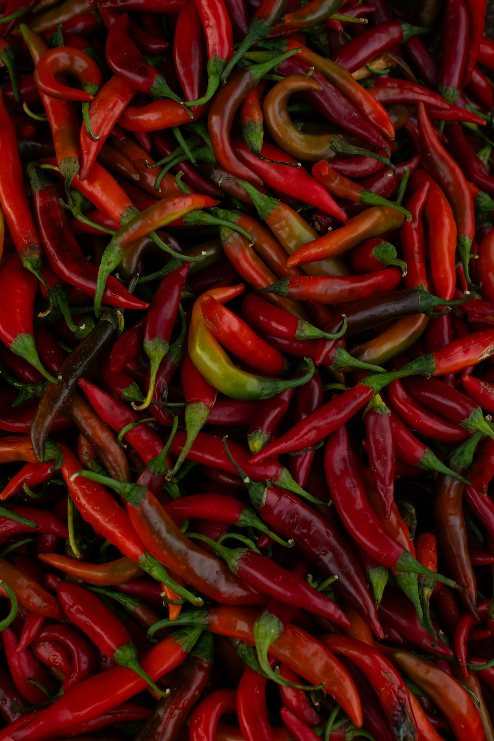 Bowls of assorted whole and ground spices in warm tones