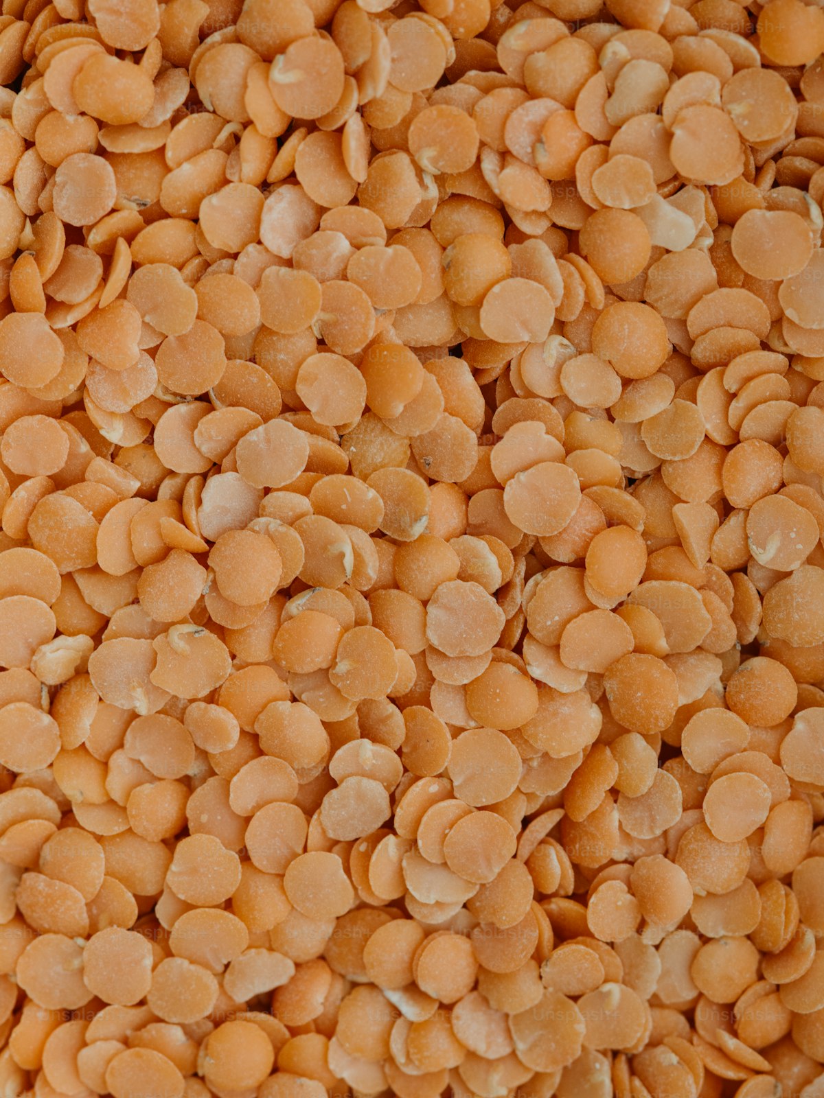 Close-up of lentils