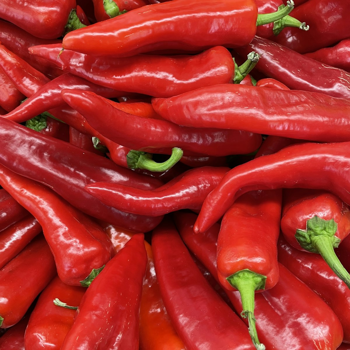 Close-up of red chili peppers